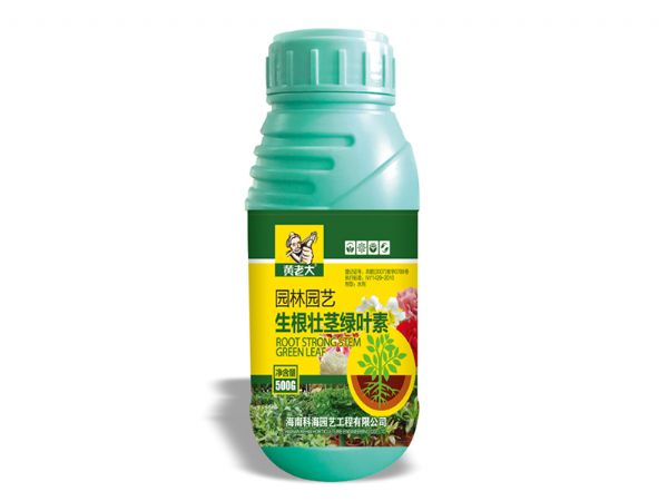 生根壯莖綠葉素.jpg